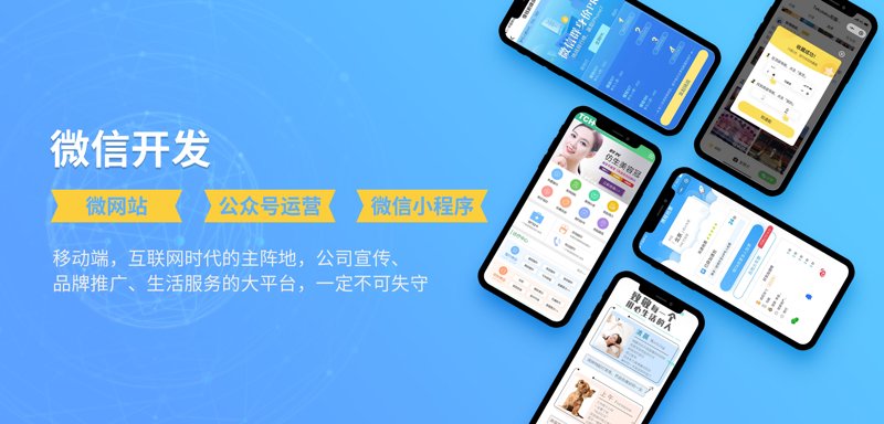 软件定制开发：上海新宠